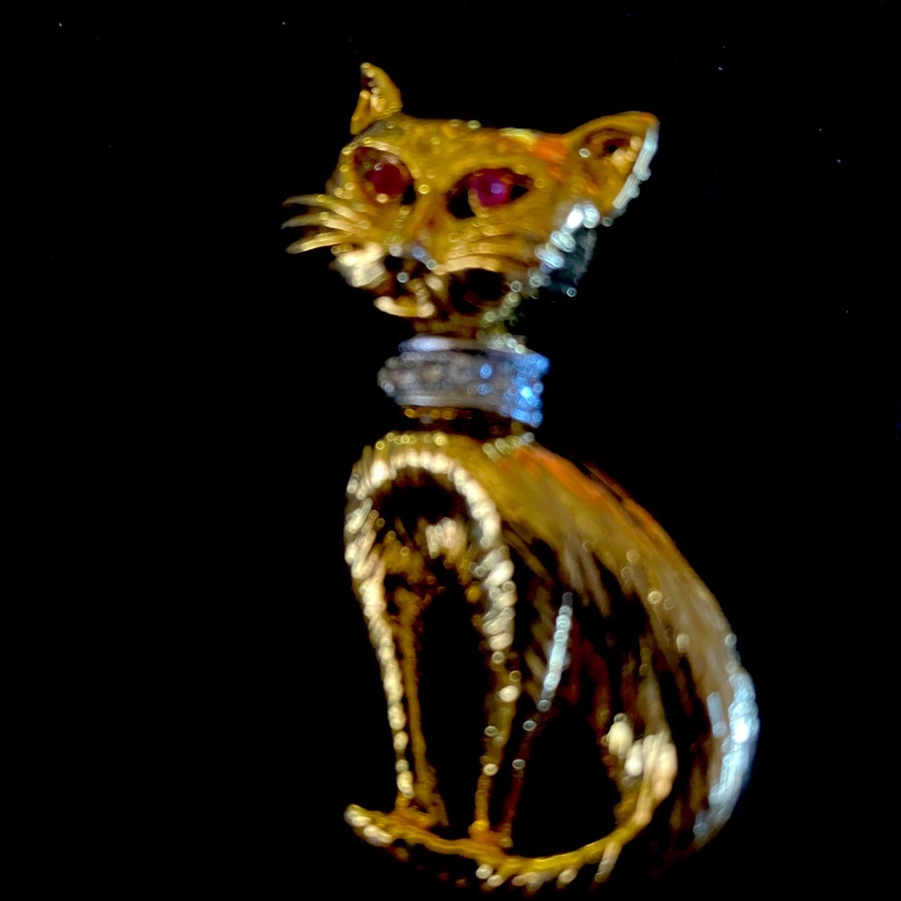 Vintage cat brooch goldtone with real ruby eyes and cz collar. Rare.